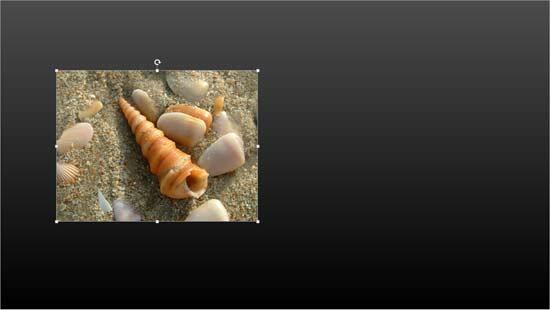 Picture placed on a slide Picture placed on a slide