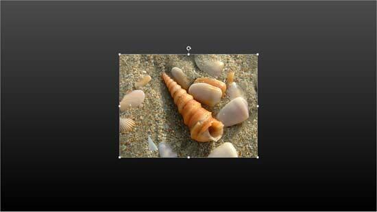 Picture centered on a slide Picture centered on a slide