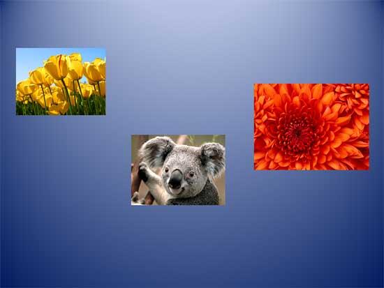 Unaligned and undistributed pictures on the slide Unaligned and undistributed pictures on the slide