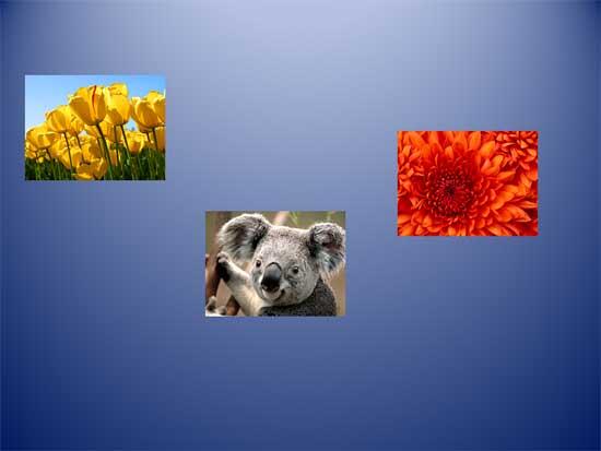 Unaligned and undistributed pictures resized to attain same height Unaligned and undistributed pictures resized to attain same height