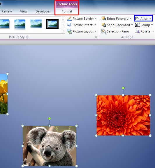 Align button within Picture Tools Format tab Align button within Picture Tools Format tab
