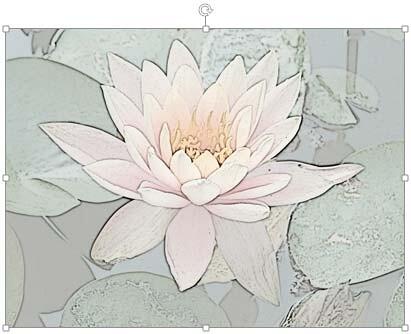 Artistic effect applied to the selected picture Artistic effect applied to the selected picture