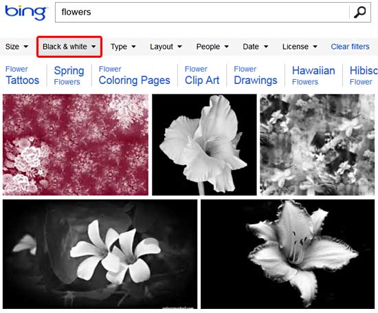 Grayscale and monochromatic pictures Grayscale and monochromatic pictures