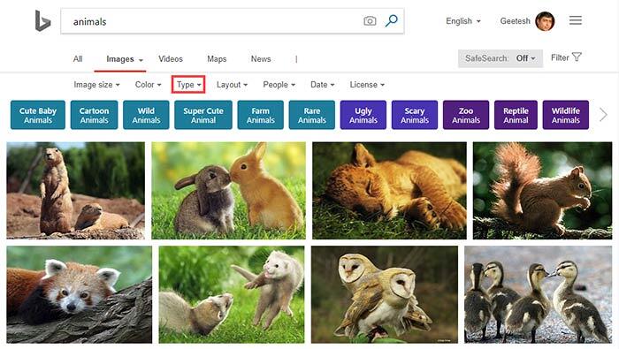 Search results for Animals Search results for Animals