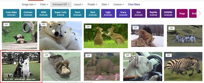 Find animated GIFs Find animated GIFs