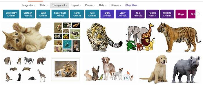 Look for images with transparent backgrounds Look for images with transparent backgrounds