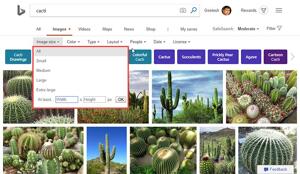 Filter your search results