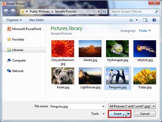 Insert Picture dialog box Insert Picture dialog box