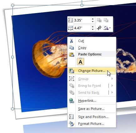 Change Picture option to be selected Change Picture option to be selected