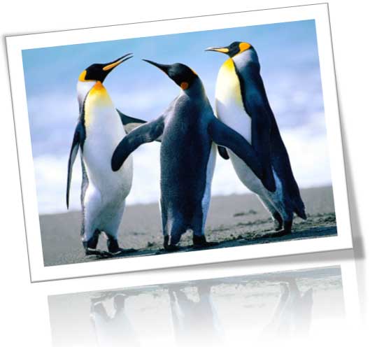 Picture replaced with a new picture Picture replaced with a new picture