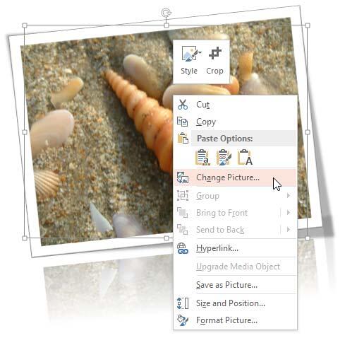 Change Picture option