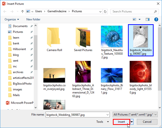 Insert Picture dialog box
