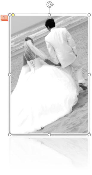 Picture replaced with a new picture