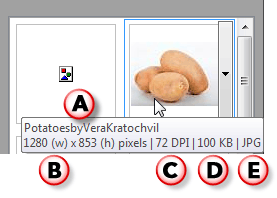 Information within the Tool Tip
