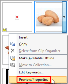 Preview/Properties option