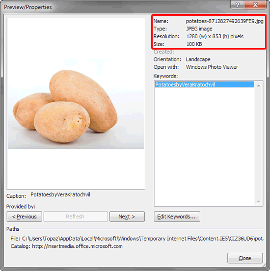 Preview/Properties dialog box