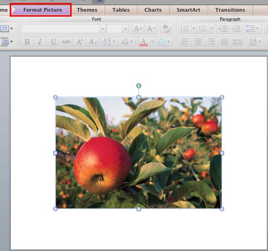 Format Picture tab Format Picture tab