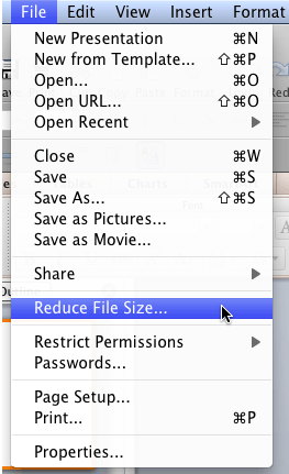 Reduce File Size menu option Reduce File Size menu option