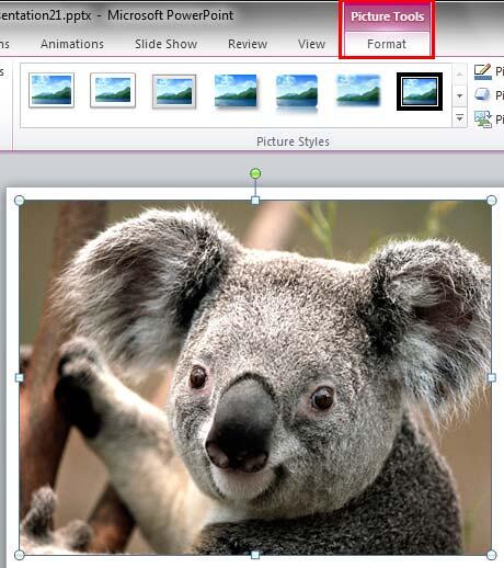 Picture Tools Format tab