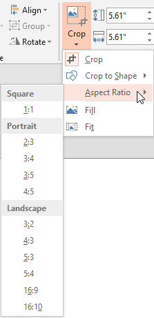 Aspect Ratio sub-gallery within the Crop drop-down gallery Aspect Ratio sub-gallery within the Crop drop-down gallery