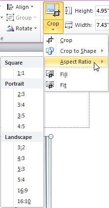 Aspect Ratio sub-gallery within the Crop drop-down gallery Aspect Ratio sub-gallery within the Crop drop-down gallery