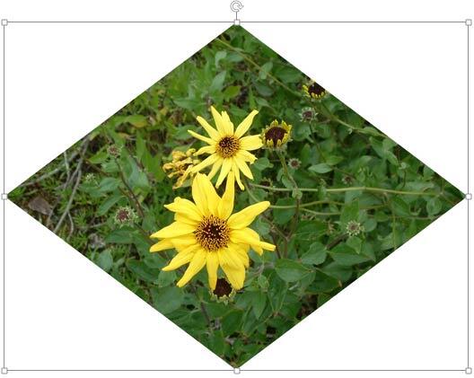 Picture cropped into a diamond shape Picture cropped into a diamond shape