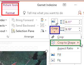 Crop to Shape option within the Crop drop-down gallery