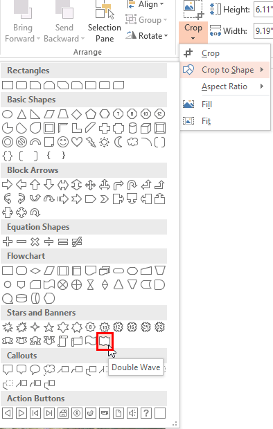 Shape chosen to crop the selected picture