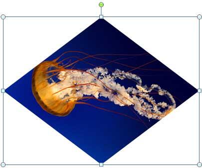 Picture cropped into a diamond shape