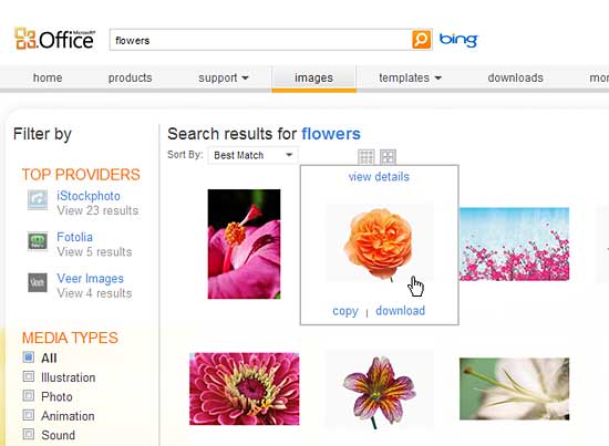 Copy option for selected clip media in Internet Explorer