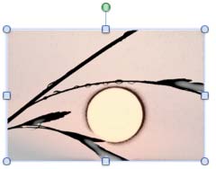 Filter applied to the selected picture Filter applied to the selected picture