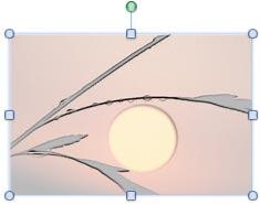 Selected picture with fine-tuned filter effect Selected picture with fine-tuned filter effect