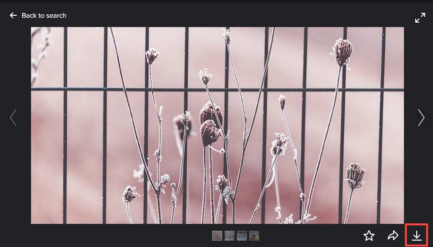 Selected picture's page on Flickr