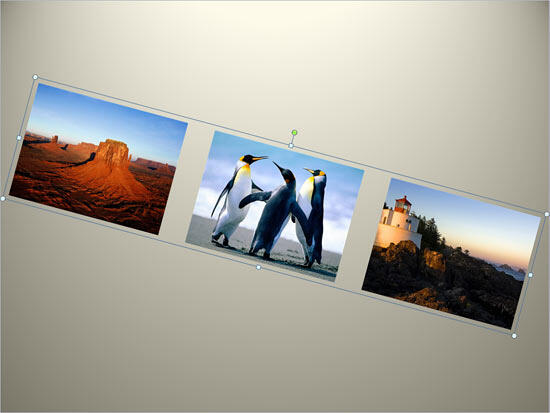 Grouped pictures rotated 15 degrees rightwards