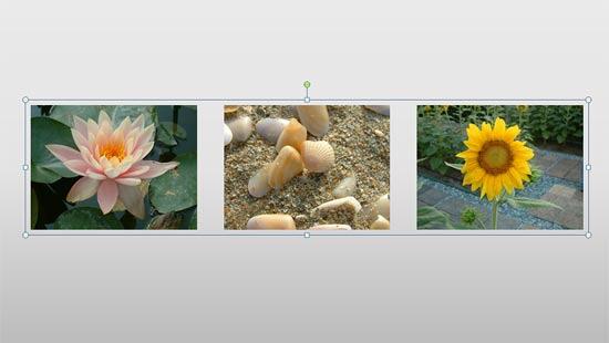 Pictures contained within a group