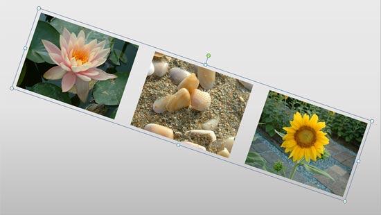 Grouped pictures rotated 15 degrees rightwards