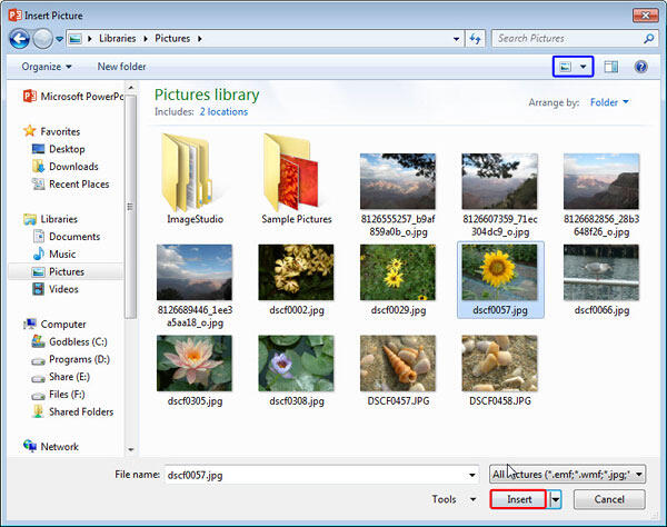 Insert Picture dialog box