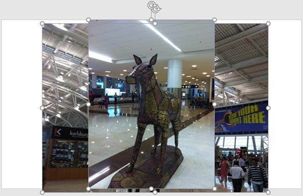 Selected pictures inserted on the slide Selected pictures inserted on the slide