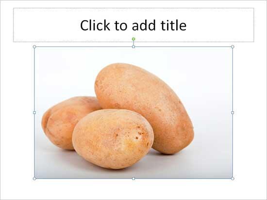 Picture taken from the Clip Art Task Pane inserted on the Slide Picture taken from the Clip Art Task Pane inserted on the Slide