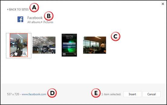 Window showing pictures within the album selected earlier Window showing pictures within the album selected earlier