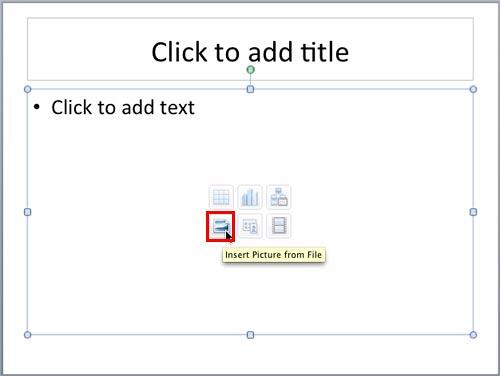 Insert Picture from File button within the Content placeholder Insert Picture from File button within the Content placeholder