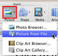 Picture from File option selected within the Picture drop-down gallery Picture from File option selected within the Picture drop-down gallery