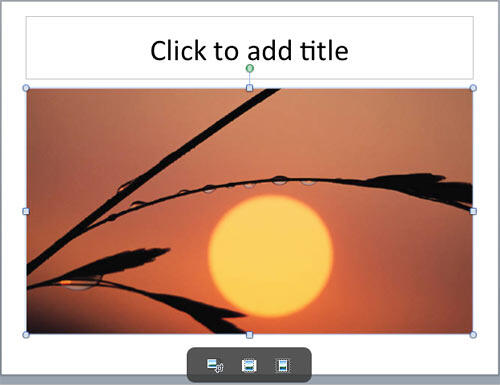 Picture inserted on the slide Picture inserted on the slide
