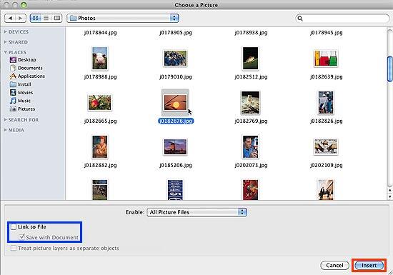 Choose a Picture dialog box Choose a Picture dialog box