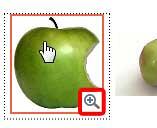 Magnifying glass icon appears on the picture Magnifying glass icon appears on the picture