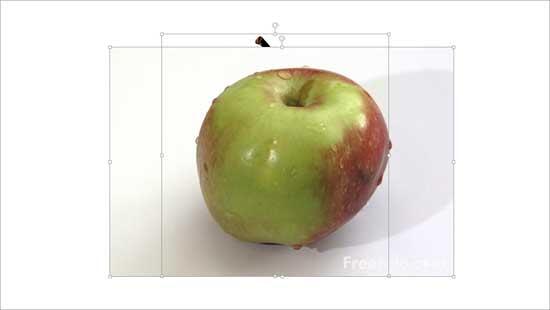 Pictures inserted on the slide Pictures inserted on the slide