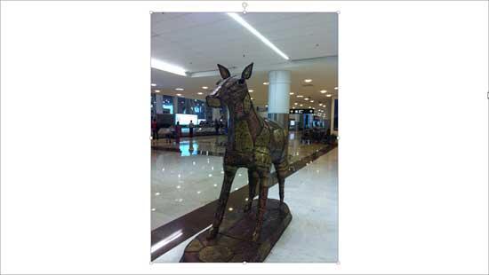 Picture inserted on the slide Picture inserted on the slide