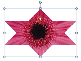 Picture cropped into a six point star Picture cropped into a six point star