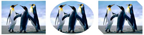 Picture cropped into different shapes with the help of Mask to Shape option Picture cropped into different shapes with the help of Mask to Shape option