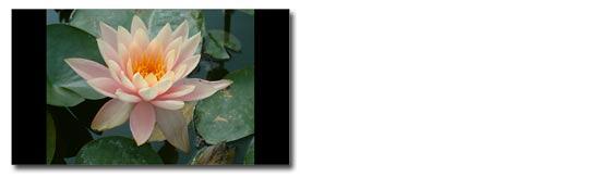 Fit to slide is the default option